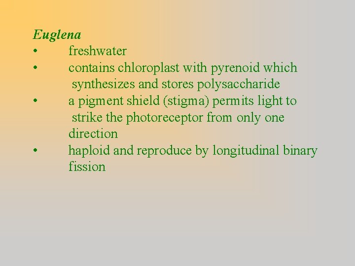 Euglena • freshwater • contains chloroplast with pyrenoid which synthesizes and stores polysaccharide •