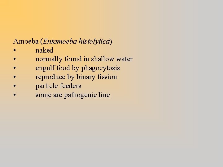 Amoeba (Entamoeba histolytica) • naked • normally found in shallow water • engulf food