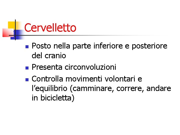 Cervelletto Posto nella parte inferiore e posteriore del cranio Presenta circonvoluzioni Controlla movimenti volontari Cervelletto Posto nella parte inferiore e posteriore del cranio Presenta circonvoluzioni Controlla movimenti volontari