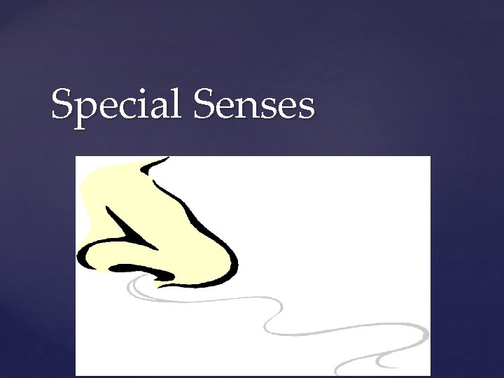 Special Senses { 