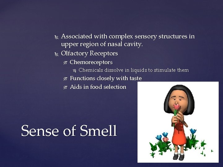  Associated with complex sensory structures in upper region of nasal cavity. Olfactory Receptors