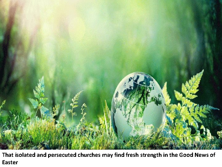 That isolated and persecuted churches may find fresh strength in the Good News of