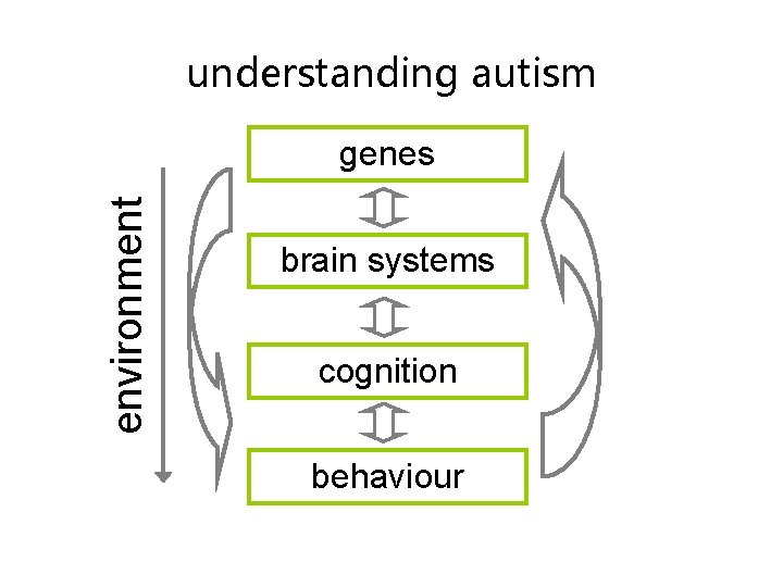 mapping the changing face of autism liz pellicano