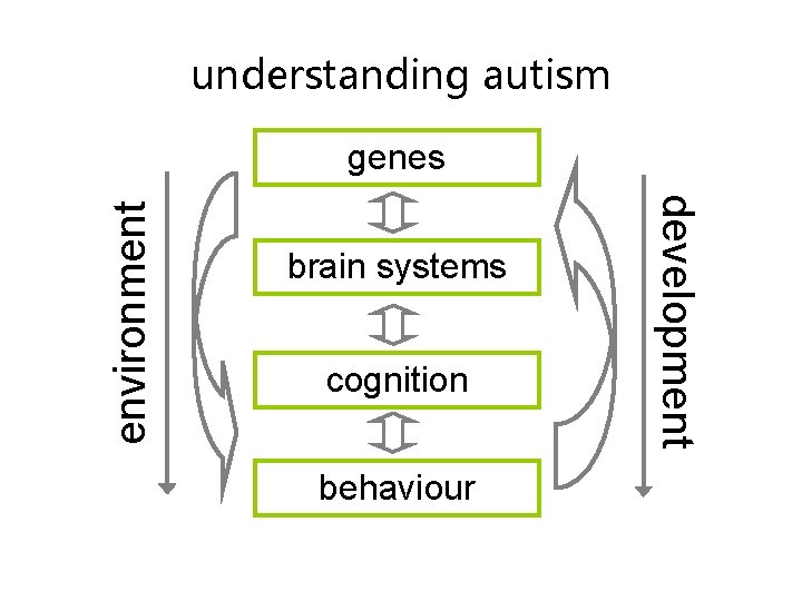 understanding autism brain systems cognition behaviour development environment genes understanding autism brain systems cognition behaviour development environment genes
