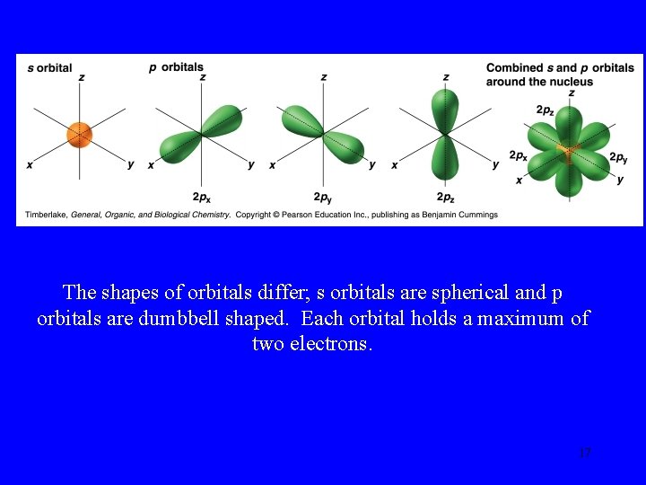 The shapes of orbitals differ; s orbitals are spherical and p orbitals are dumbbell