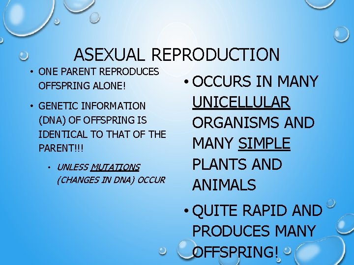 ASEXUAL REPRODUCTION • ONE PARENT REPRODUCES OFFSPRING ALONE! • GENETIC INFORMATION (DNA) OF OFFSPRING