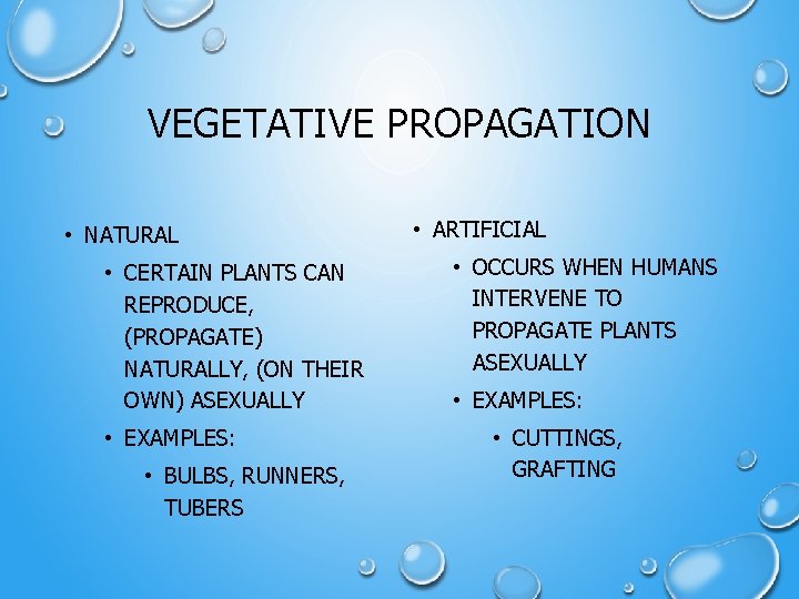 VEGETATIVE PROPAGATION • NATURAL • CERTAIN PLANTS CAN REPRODUCE, (PROPAGATE) NATURALLY, (ON THEIR OWN)