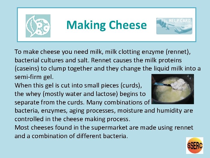 Making Cheese To make cheese you need milk, milk clotting enzyme (rennet), bacterial cultures