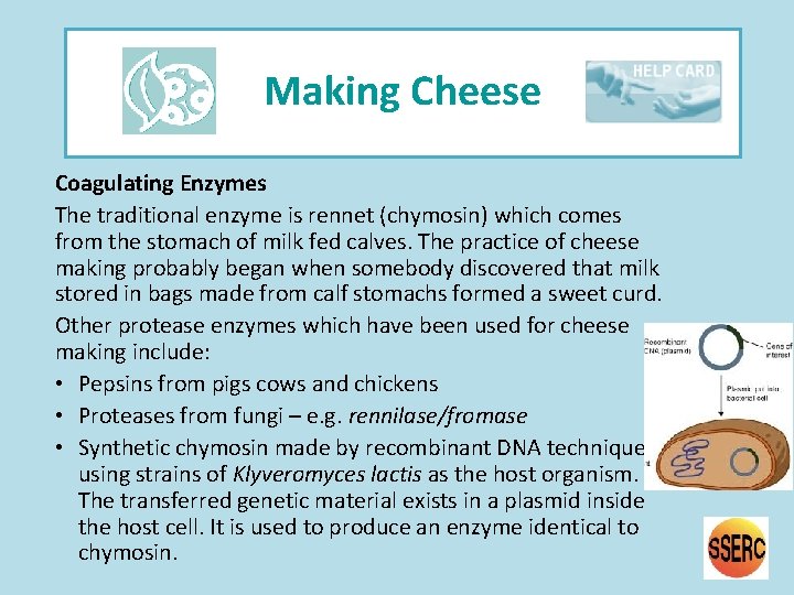 Making Cheese Coagulating Enzymes The traditional enzyme is rennet (chymosin) which comes from the