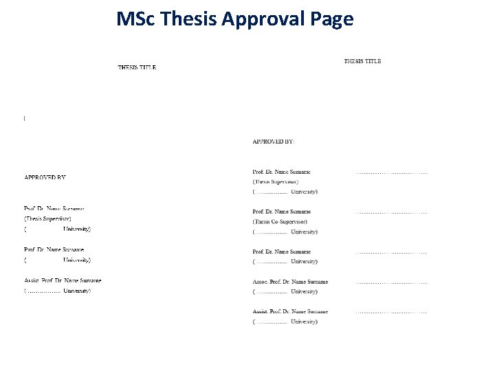 MSc Thesis Approval Page 