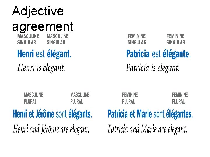 Adjective agreement 