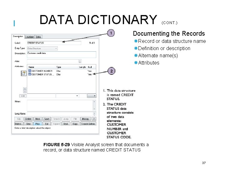 DATA DICTIONARY (CONT. ) Documenting the Records Record or data structure name Definition or