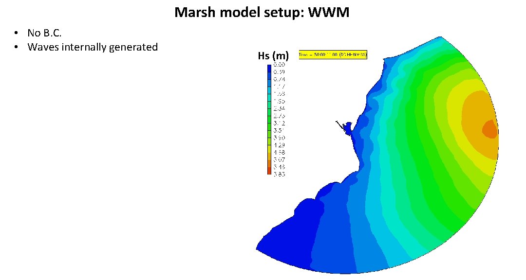 Marsh model setup: WWM • No B. C. • Waves internally generated Hs (m)