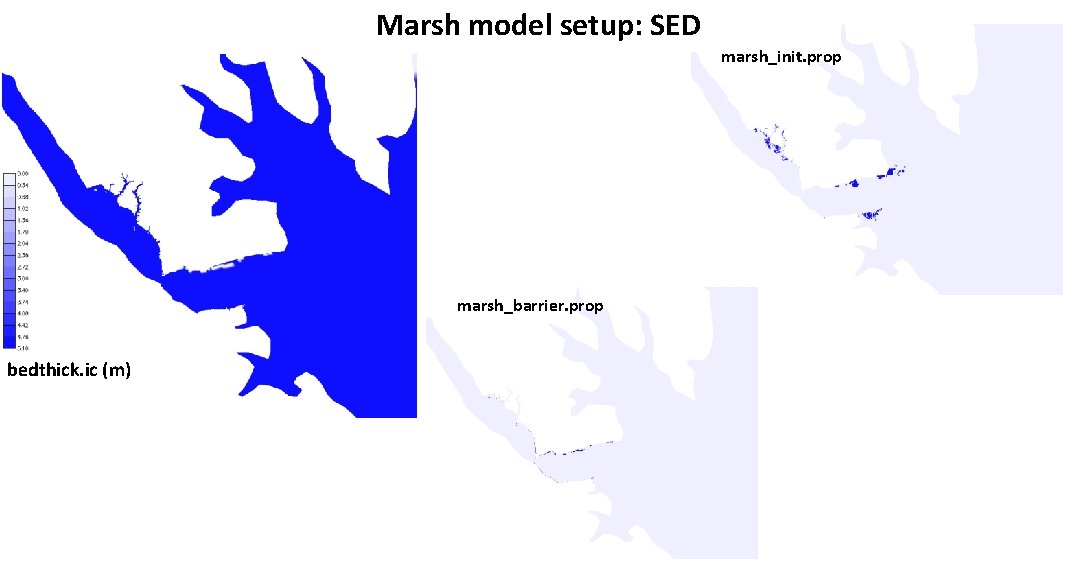 Marsh model setup: SED marsh_init. prop marsh_barrier. prop bedthick. ic (m) 