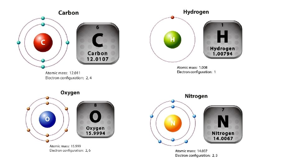 Carbon Hydrogen Oxygen Nitrogen 