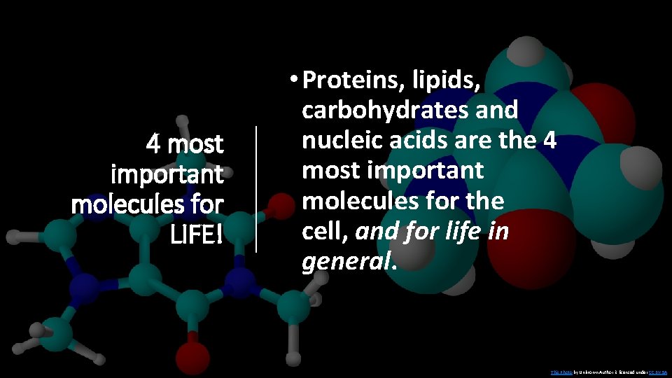 4 most important molecules for LIFE! • Proteins, lipids, carbohydrates and nucleic acids are