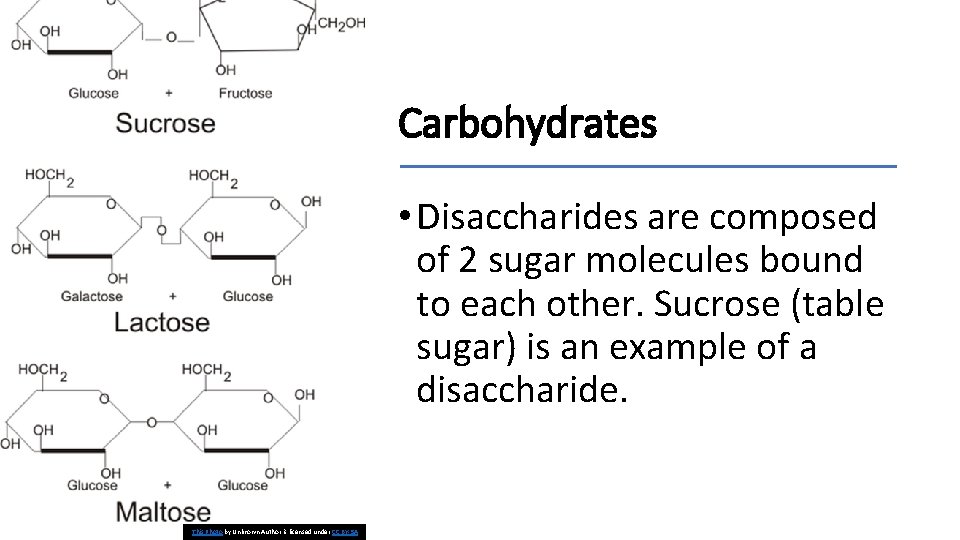 Carbohydrates • Disaccharides are composed of 2 sugar molecules bound to each other. Sucrose