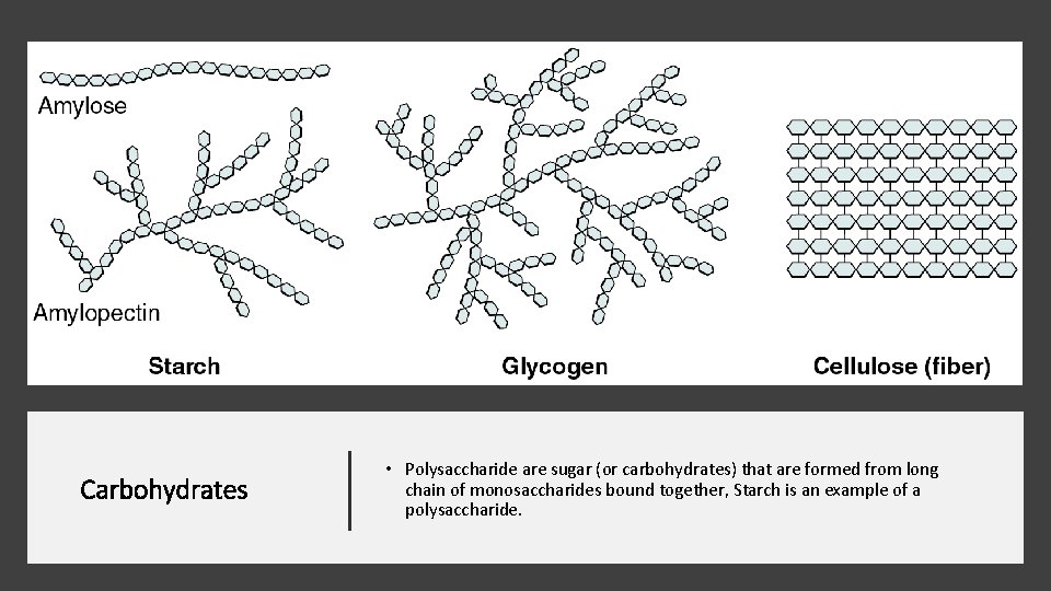 Carbohydrates • Polysaccharide are sugar (or carbohydrates) that are formed from long chain of