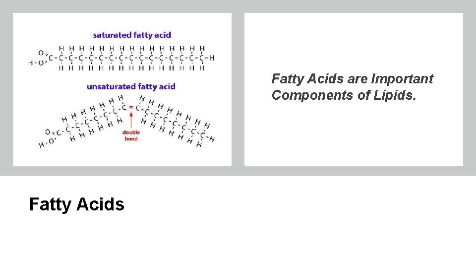 Fatty Acids are Important Components of Lipids. Fatty Acids 