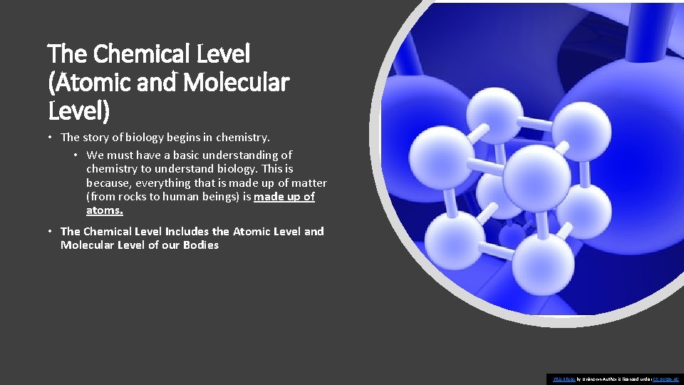 The Chemical Level (Atomic and Molecular Level) • The story of biology begins in