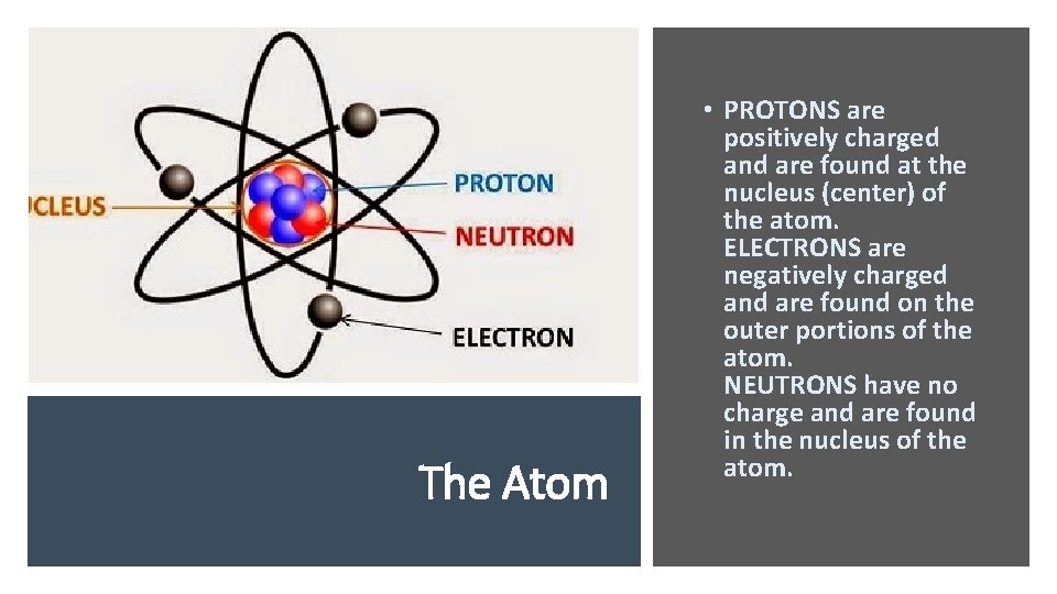 The Atom • PROTONS are positively charged and are found at the nucleus (center)