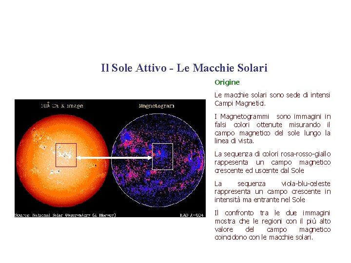 Il Sole Attivo - Le Macchie Solari Origine Le macchie solari sono sede di
