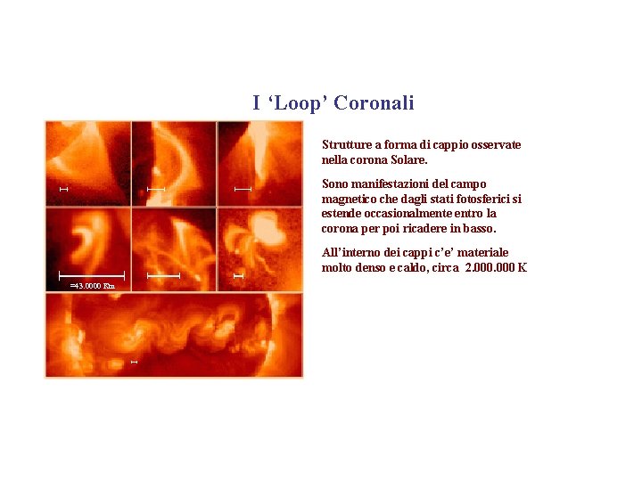I ‘Loop’ Coronali Strutture a forma di cappio osservate nella corona Solare. Sono manifestazioni