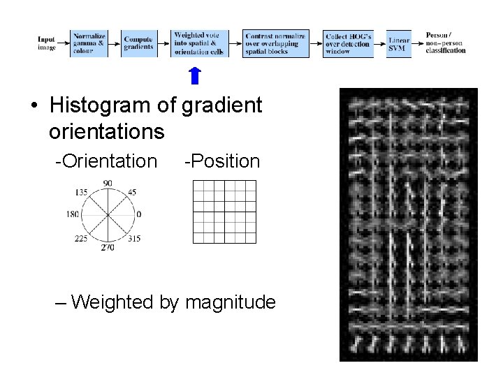  • Histogram of gradient orientations -Orientation -Position – Weighted by magnitude 