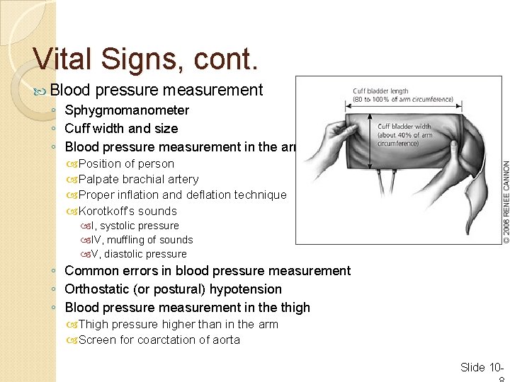 Vital Signs, cont. Blood pressure measurement ◦ Sphygmomanometer ◦ Cuff width and size ◦