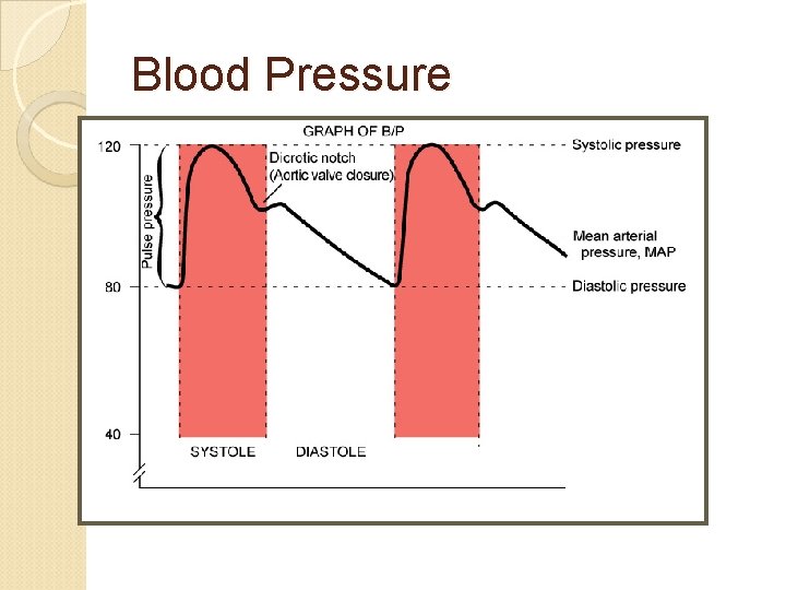 Blood Pressure 