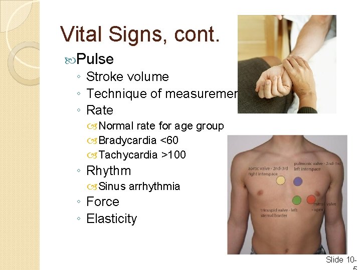 Vital Signs, cont. Pulse ◦ Stroke volume ◦ Technique of measurement ◦ Rate Normal