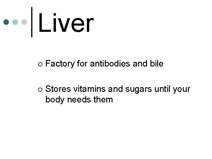 Liver ¢ Factory for antibodies and bile ¢ Stores vitamins and sugars until your