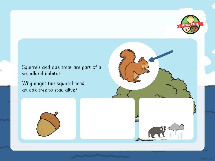 Squirrels and oak trees are part of a woodland habitat. Why might this squirrel
