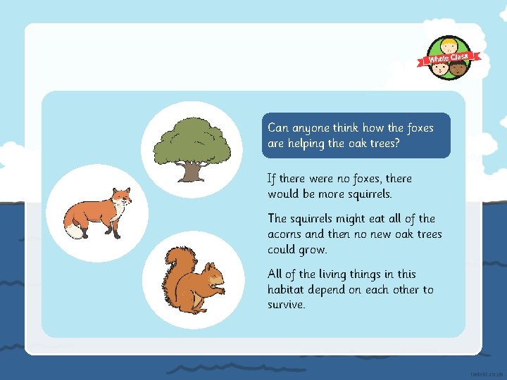 Can anyone think how the foxes are helping the oak trees? If there were