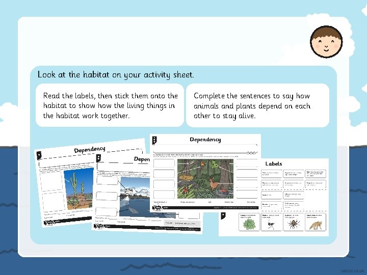 Look at the habitat on your activity sheet. Read the labels, then stick them