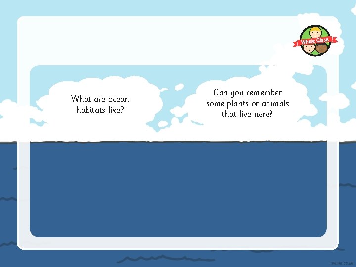 What are ocean habitats like? Can you remember some plants or animals that live