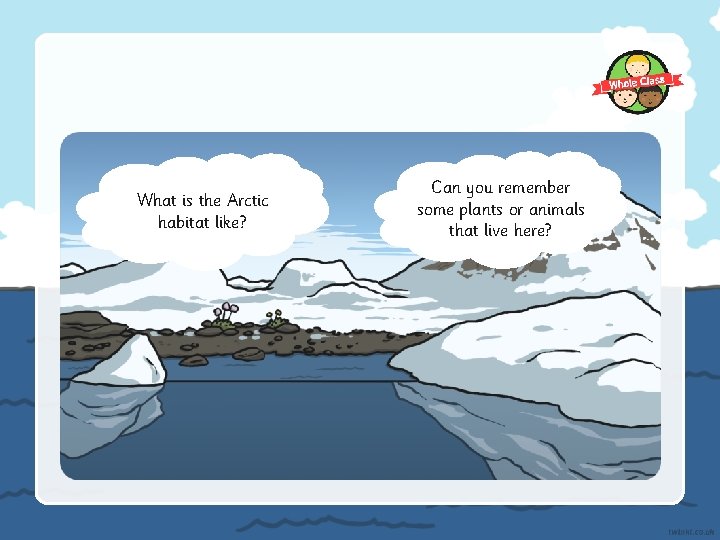 What is the Arctic habitat like? Can you remember some plants or animals that
