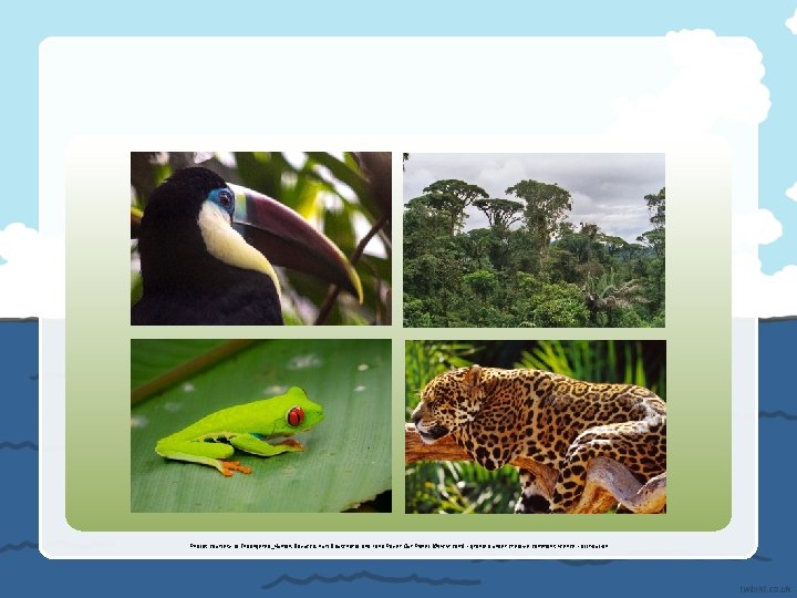 Photos courtesy of Endangered_Human, Bayucca, Kurt Bauschardt and Land Rover Our Planet (@flickr. com)