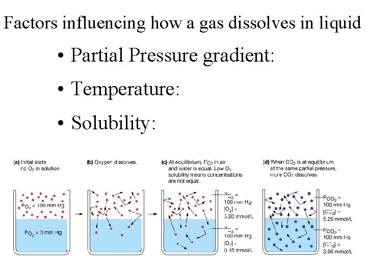 Factors influencing how a gas dissolves in liquid • Partial Pressure gradient: • Temperature: