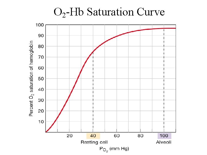 O 2 -Hb Saturation Curve 