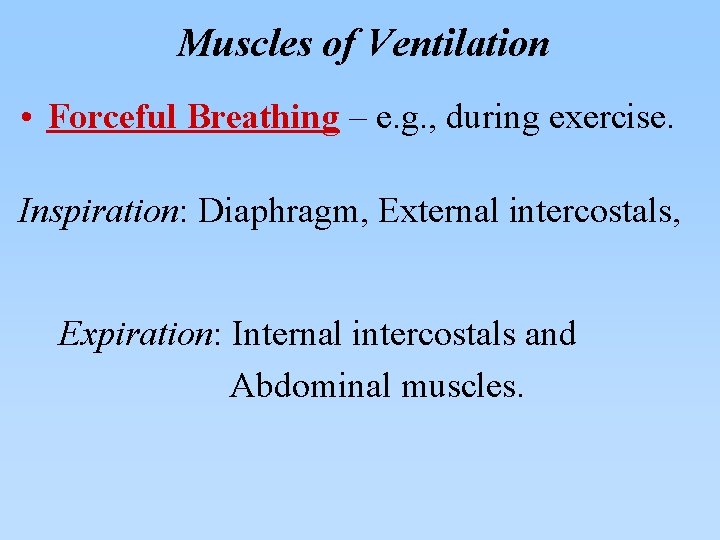 Muscles of Ventilation • Forceful Breathing – e. g. , during exercise. Inspiration: Diaphragm,