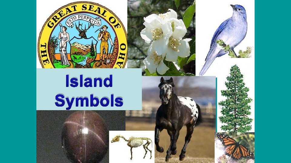 Island Symbols 