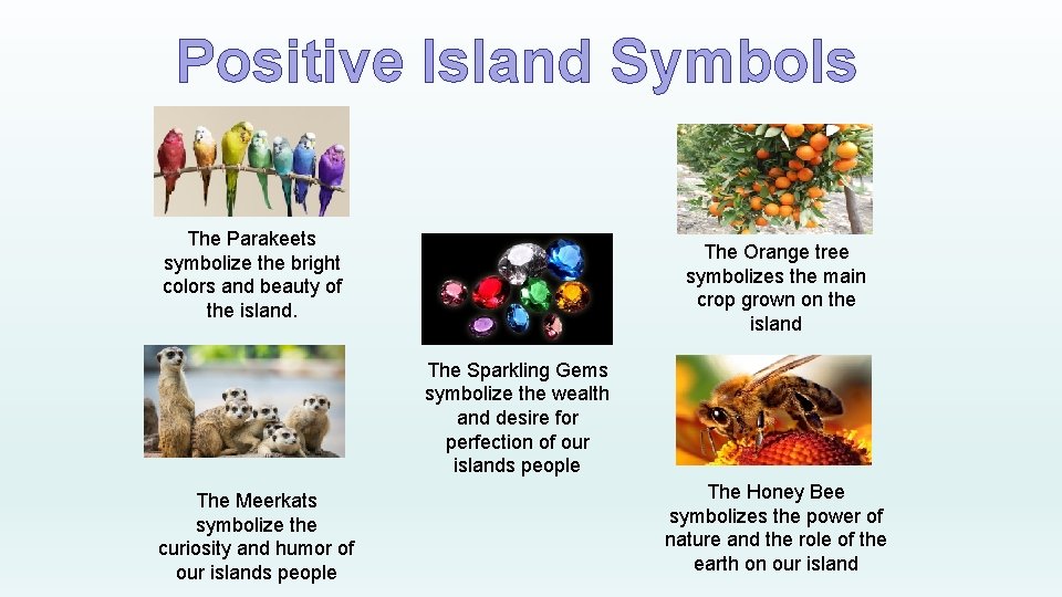 Positive Island Symbols The Parakeets symbolize the bright colors and beauty of the island.