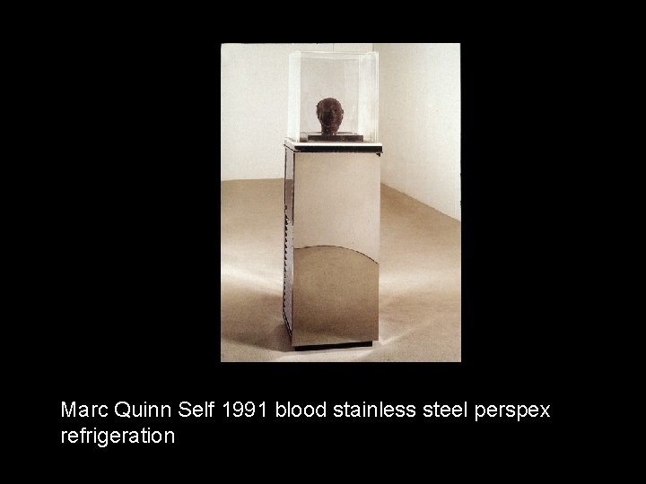 Marc Quinn Self 1991 blood stainless steel perspex refrigeration 