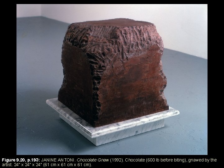 Figure 9. 20, p. 193: JANINE ANTONI. Chocolate Gnaw (1992). Chocolate (600 lb before