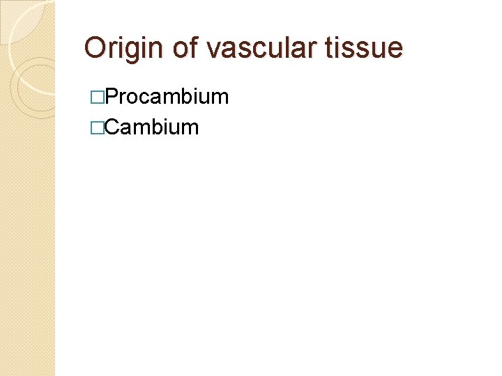 Origin of vascular tissue �Procambium �Cambium 