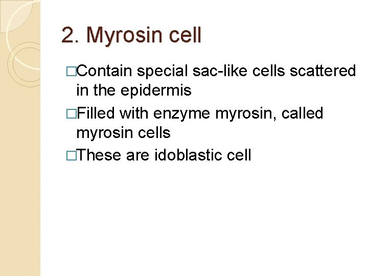 2. Myrosin cell �Contain special sac-like cells scattered in the epidermis �Filled with enzyme