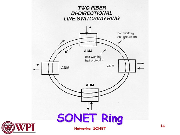 SONET Ring Networks: SONET 14 