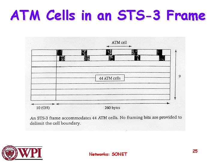 ATM Cells in an STS-3 Frame Networks: SONET 25 