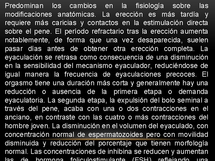 Predominan los cambios en la fisiología sobre las modificaciones anatómicas. La erección es más